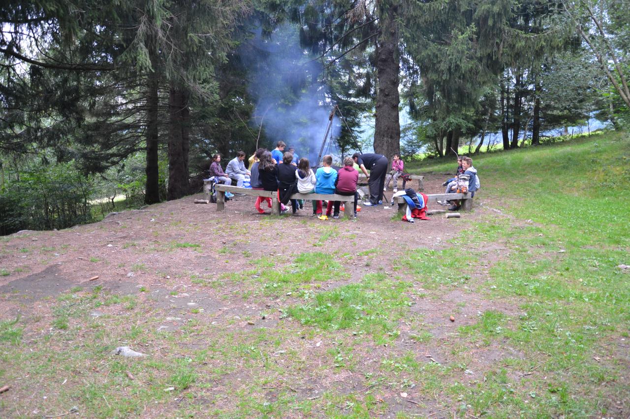 DSC_0466 (2)