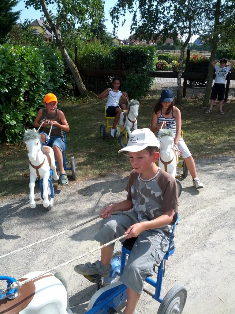IMG_20120815_160149
