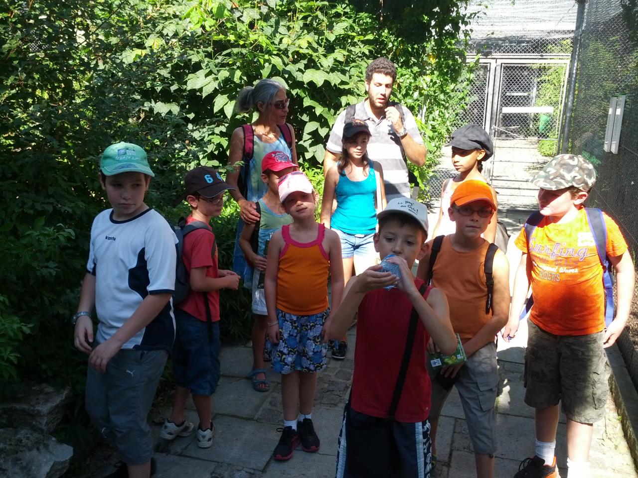 IMG_20120817_160451