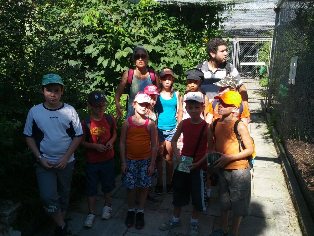 IMG_20120817_160458