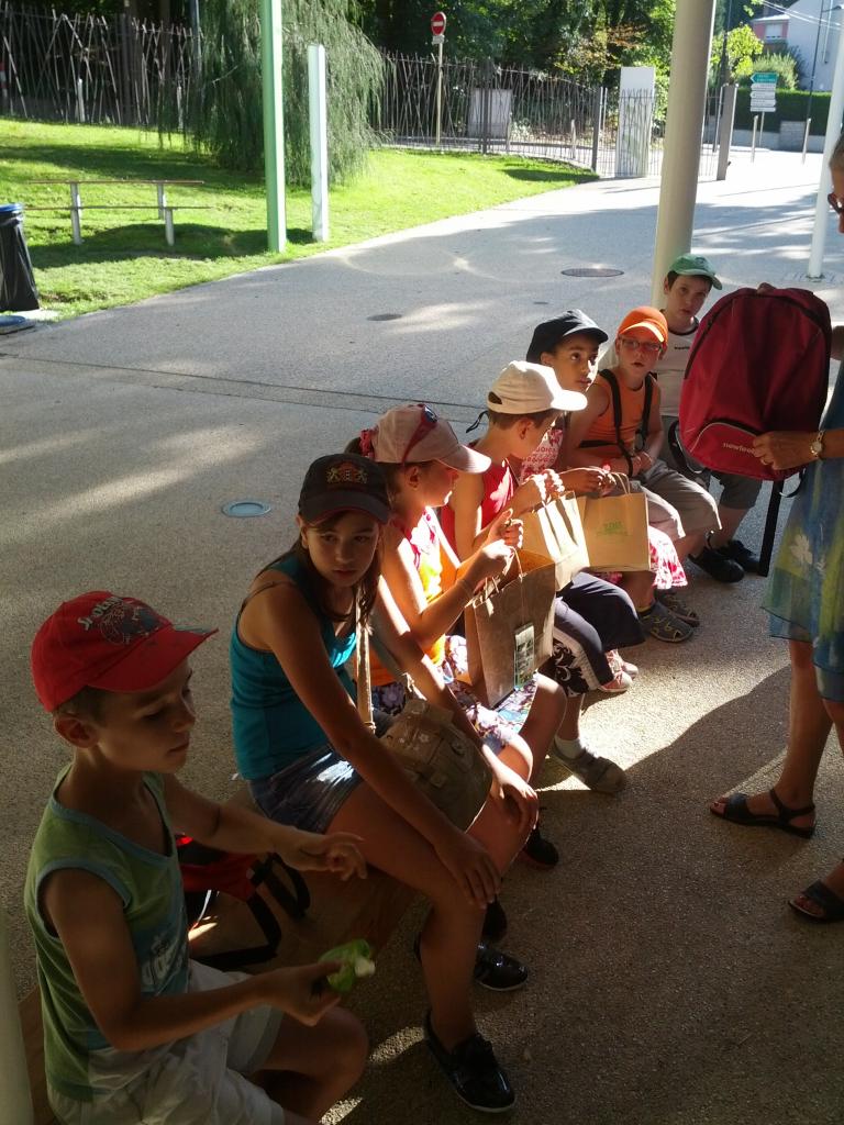 IMG_20120817_175206