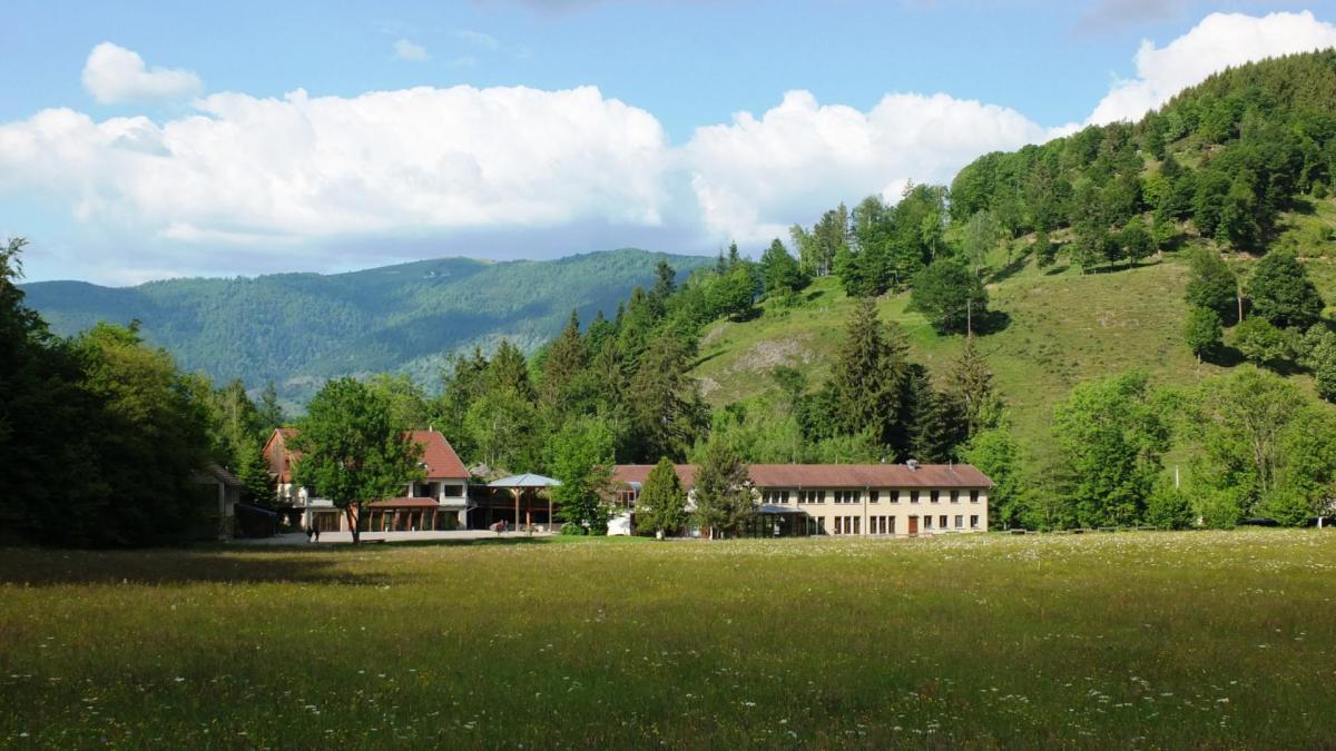 Letorrent